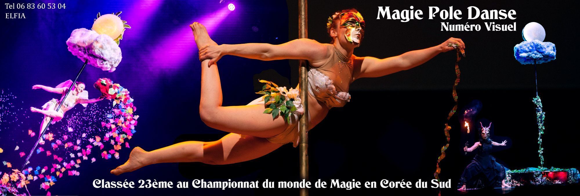 Spectacle de magie, Numéro Visuel magie pole dance